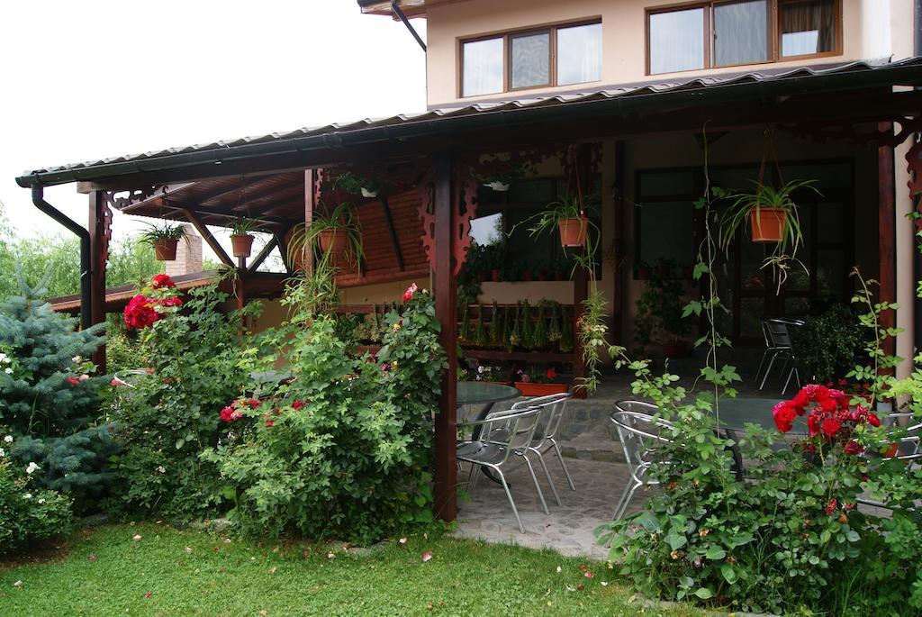 Pensiunea Bujorul Comana Exterior photo